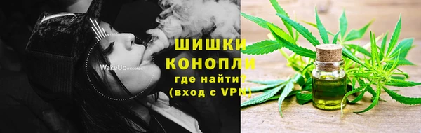 молекула духа Белоозёрский