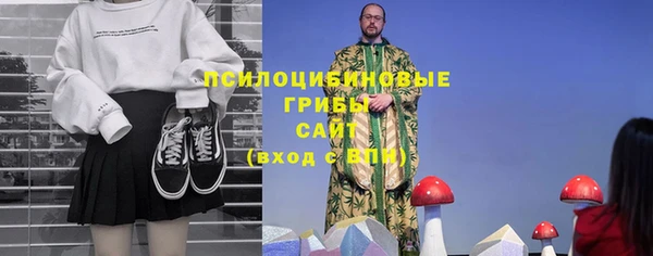 ECSTASY Белокуриха