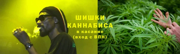 ECSTASY Белокуриха