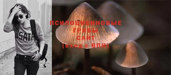 молекула духа Белоозёрский