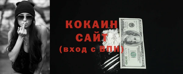 ECSTASY Белокуриха