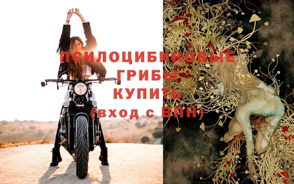 молекула духа Белоозёрский