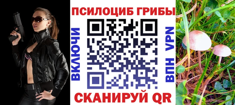 даркнет состав  omg маркетплейс  Володарск  Псилоцибиновые грибы мухоморы 
